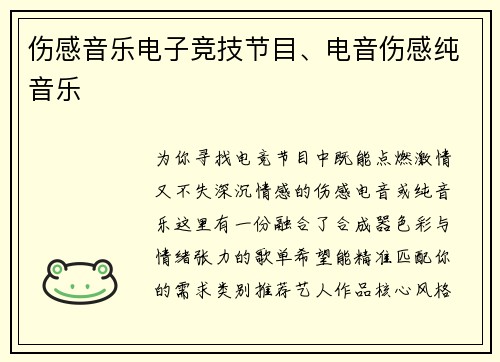 伤感音乐电子竞技节目、电音伤感纯音乐